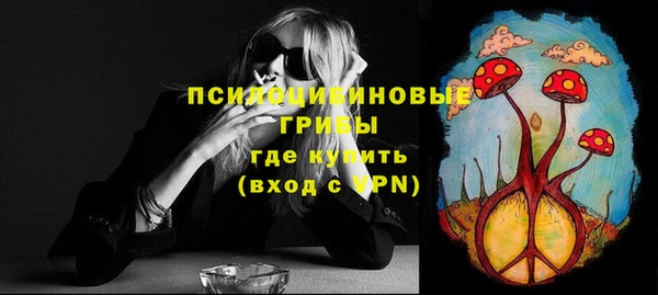 стафф Володарск