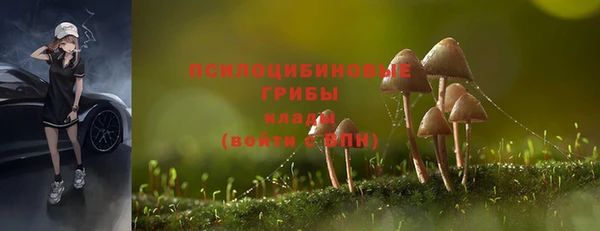 стафф Володарск