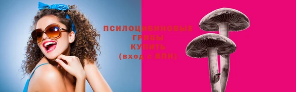 ешки Волоколамск
