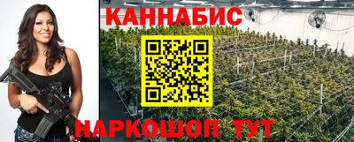 сатива Краснознаменск