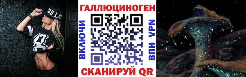 как найти Железногорск Псилоцибиновые грибы Psilocybe