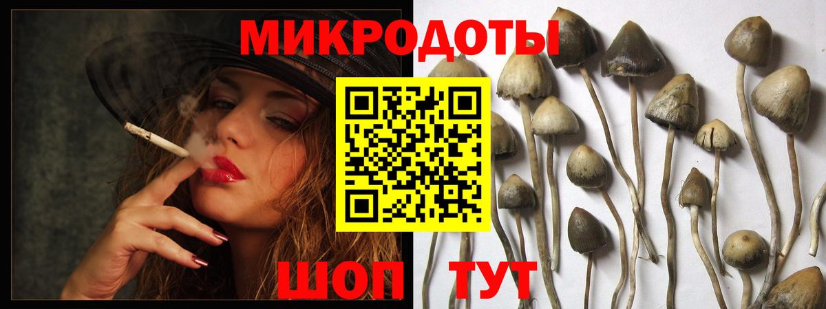 Галлюциногенные грибы MAGIC MUSHROOMS Железногорск
